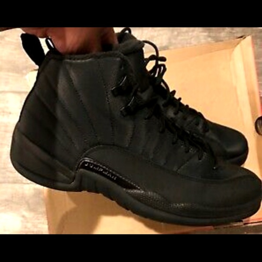 Jordan 12 winter black